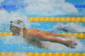 19 éves magyar úszó Cseh és Phelps előtt
