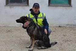 Ellopták a mosonmagyaróvári polgárőrök kiképzett kutyáját