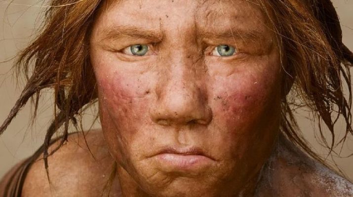 neandervölgyi-kihalása