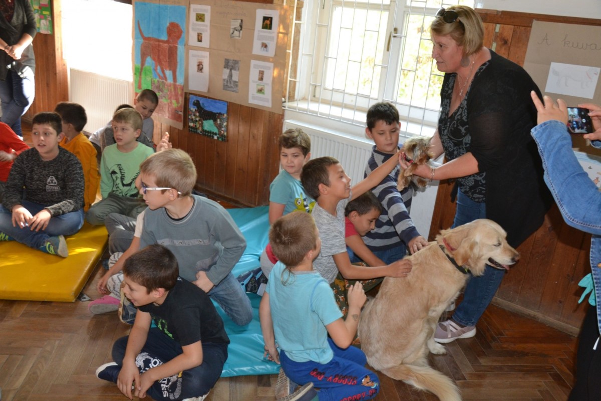 Kutyák és gyerekek egy teremben
