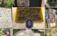 Több mint hatmillió forintért vásárolt kábítószer a helvéciai párosnál